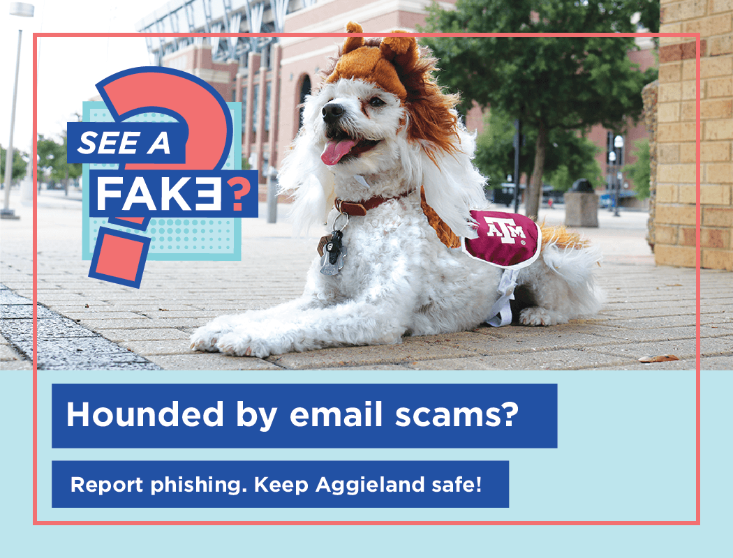 "See a Fake" Phishing Campaign